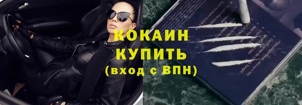 стаф Новодвинск
