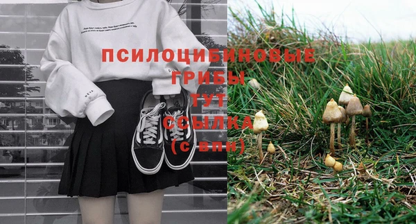 MESCALINE Новозыбков