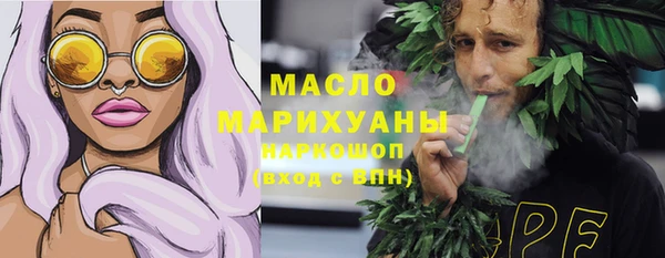 стаф Новодвинск